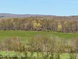 317 Skunks Misery Road - Photo 2