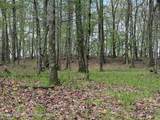317 Skunks Misery Road - Photo 5