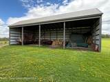 317 Skunks Misery Road - Photo 8