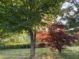 223 Plattekill Road - Photo 28