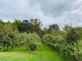 223 Plattekill Road - Photo 40