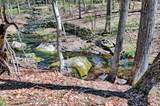63 Meadow Road - Photo 77