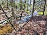 63 Meadow Road - Photo 90