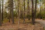 10 Trout Creek Road - Photo 52