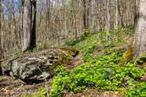 1264 Betty Brook Road - Photo 42