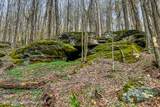 1264 Betty Brook Road - Photo 47
