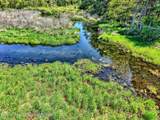 155 Scutt Road - Photo 53