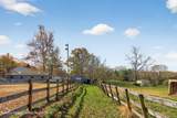 99 Dusinberre Road - Photo 28