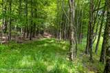 61 Fusco Drive - Photo 46