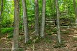 61 Fusco Drive - Photo 49