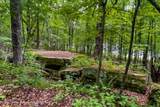 61 Fusco Drive - Photo 59