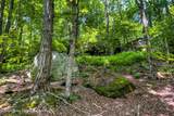 61 Fusco Drive - Photo 68