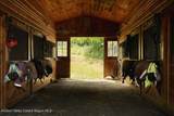 1425 Centre Road - Photo 5