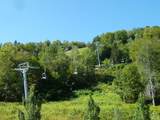 62 Liftside Drive - Photo 15