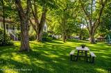 9 Solway Road - Photo 14