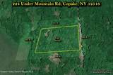224 Under Mountain Road - Photo 44