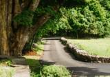 190 Lewis Hollow Road - Photo 43
