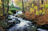 190 Lewis Hollow Road - Photo 45