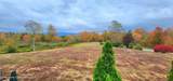 133 Old Field Road - Photo 59