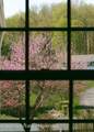 93 Horton Road - Photo 50