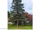16 Swart Street - Photo 32