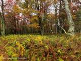 116 Voss Road - Photo 16