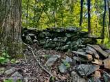 80 Forever Ivy Lane - Photo 10