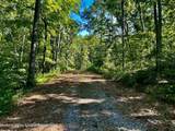 80 Forever Ivy Lane - Photo 6
