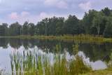 120 Route 203 - Photo 14
