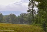 120 Route 203 - Photo 4