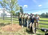 4 Windham Farms Road - Photo 14
