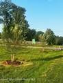 4 Windham Farms Road - Photo 8
