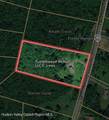 295 Tumbleweed Ranch Road - Photo 47