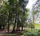 658 Briggs Highway - Photo 21