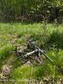 443 County Road 13 - Photo 5