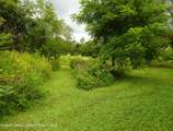 261 Yonderview Road - Photo 10