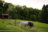 322 Schultz Lane - Photo 26
