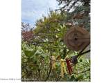 16 Swart Street - Photo 31