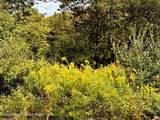Lot 6 Stickles Road - Photo 3