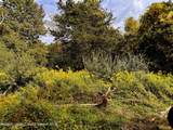 Lot 6 Stickles Road - Photo 6