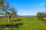 60 Palazzo Lane - Photo 49