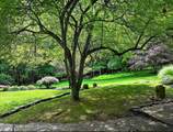 27 Old Wagon Road - Photo 48