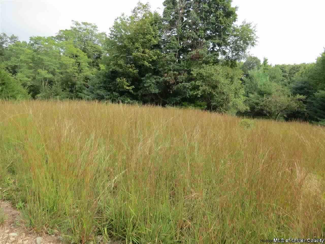 73 Grassy Ridge Road - Photo 1