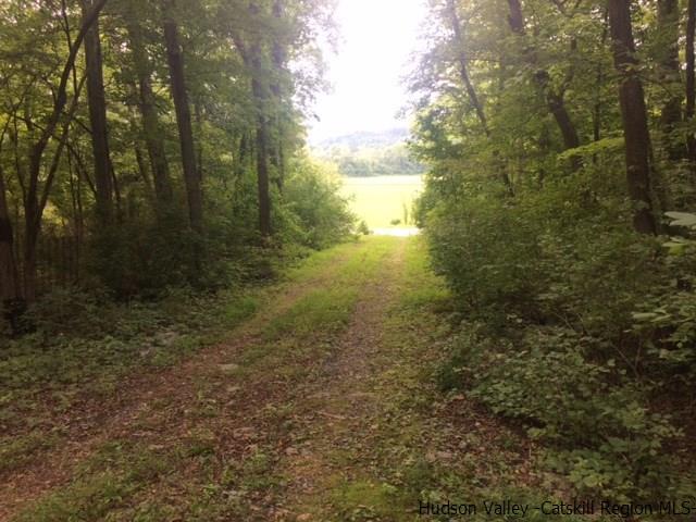 TBD Route 209 - Photo 1