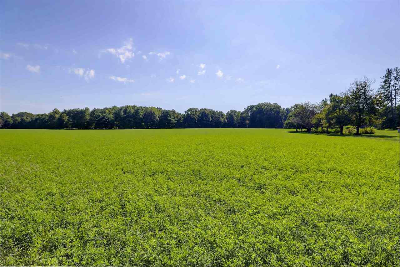 TBD Red Mills Road - Photo 1