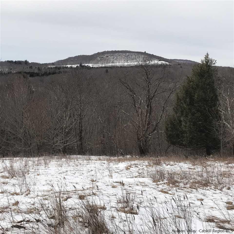 Off Red Hill Knolls - Photo 1