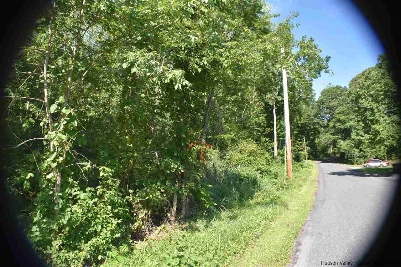 Route 9W & Mackey Rd - Photo 1