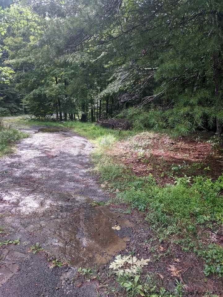 410 Cold Brook Road - Photo 1