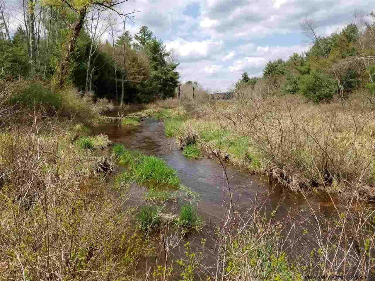 *00* Nys Hwy 17B & Sgt. Andrew Brucher Road - Photo 1