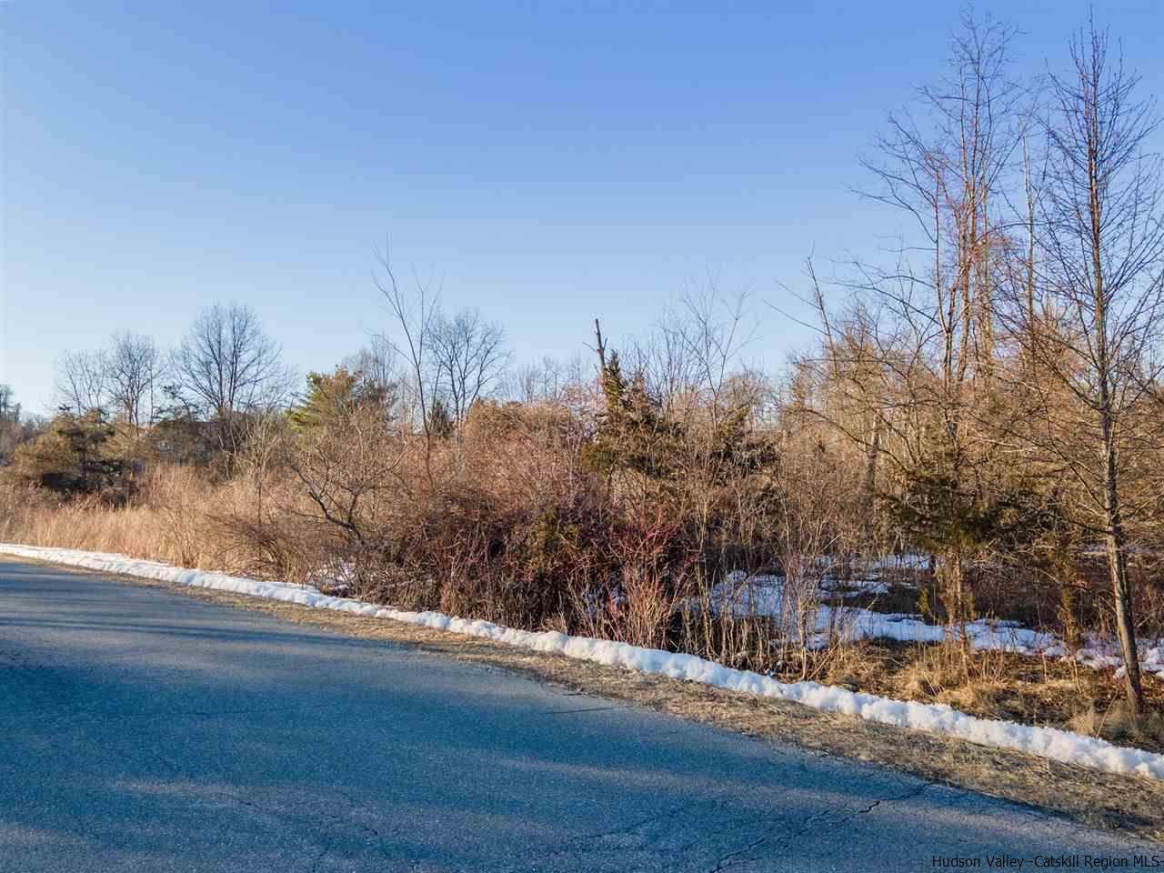 TBD Linderman Ave Ext - Photo 1